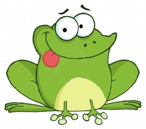 grenouille (1)