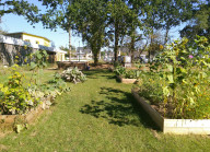 Présentation du Jardin « Les jeunes pousses »